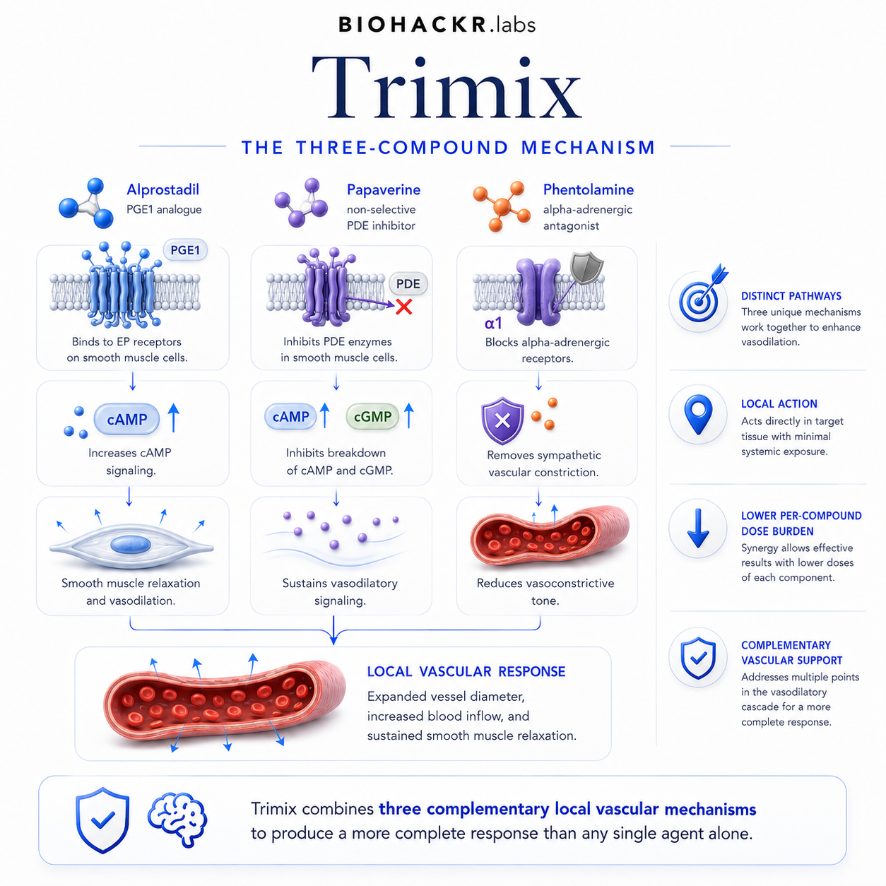 Trimix Performance Science: How CORE Pens Work — Why three compounds instead of one