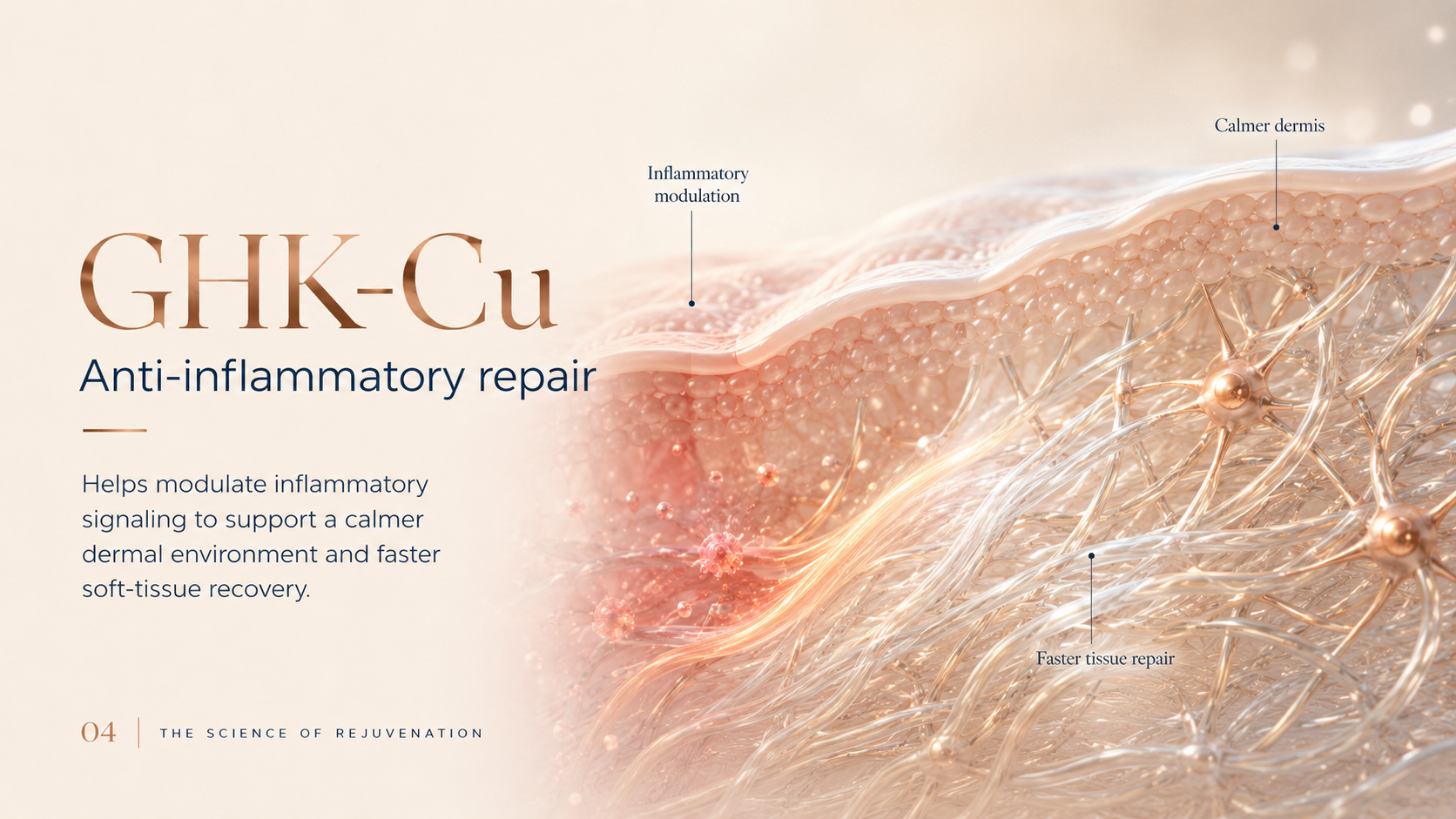 GHK-Cu: The Copper Peptide for Skin and Tissue Regeneration
