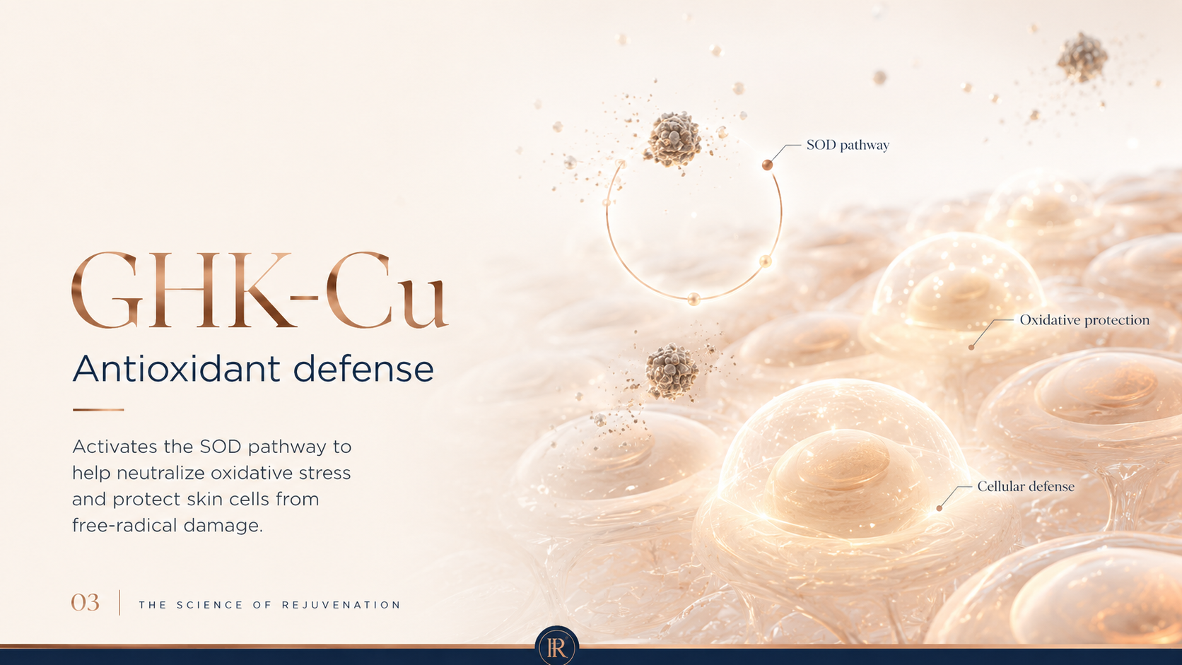 GHK-Cu: The Copper Peptide for Skin and Tissue Regeneration — The collagen and elastin mechanism
