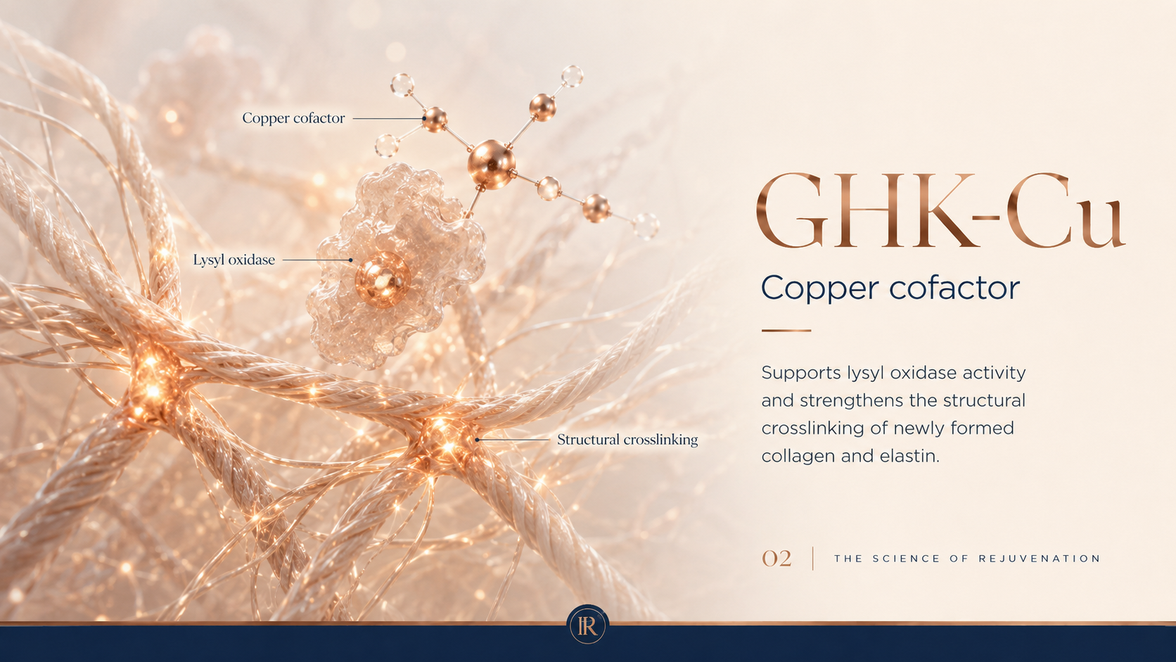 GHK-Cu: The Copper Peptide for Skin and Tissue Regeneration — Antioxidant and anti-inflammatory effects