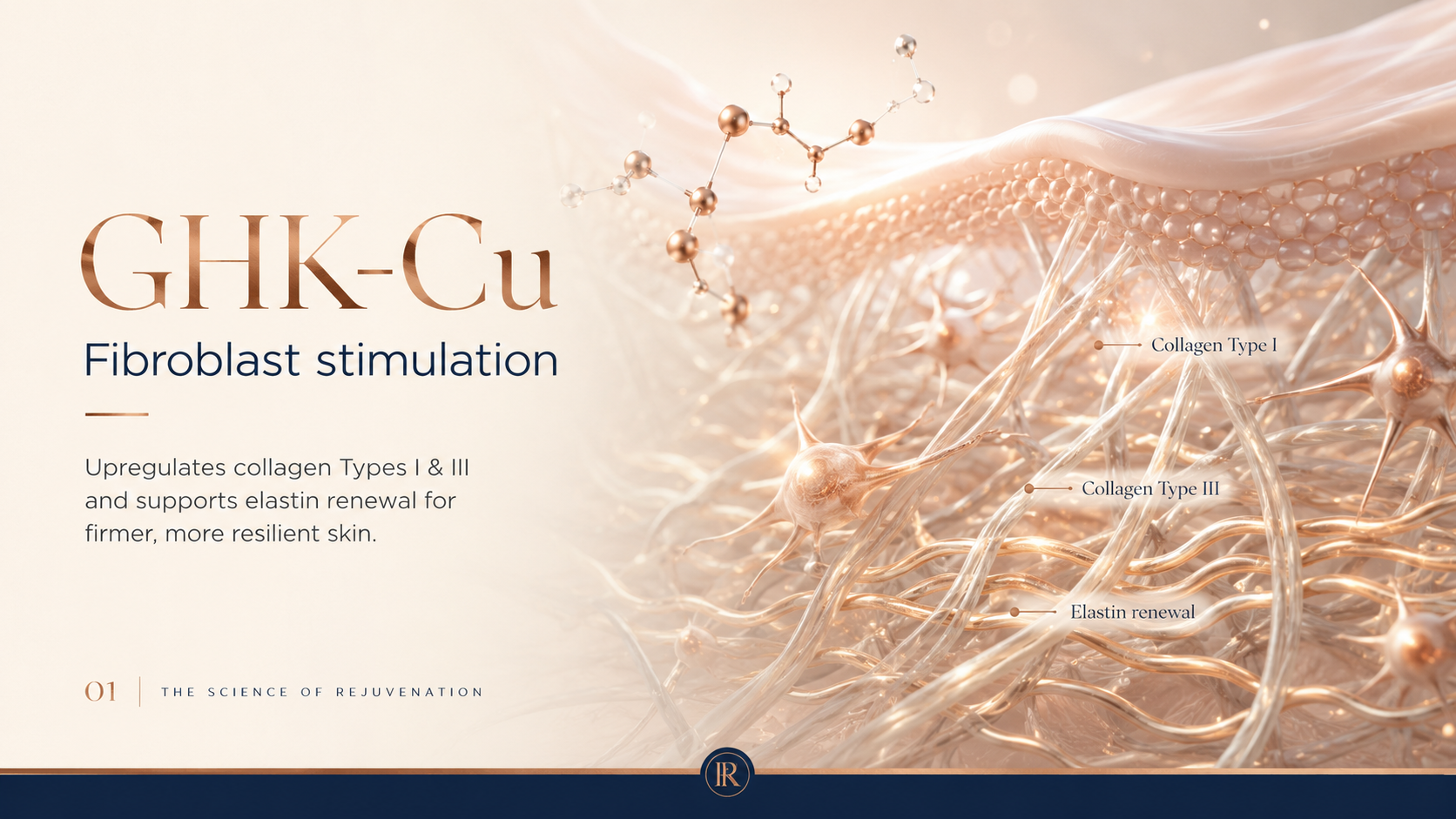 GHK-Cu: The Copper Peptide for Skin and Tissue Regeneration — What the research supports