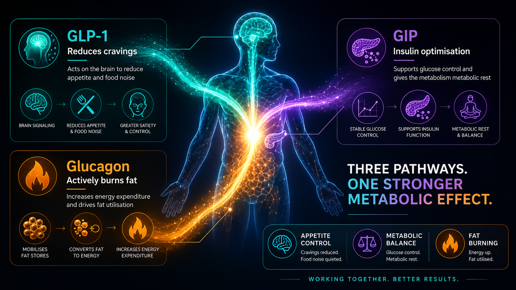 GLP-1, GIP, and Glucagon: The Triple Mechanism Explained