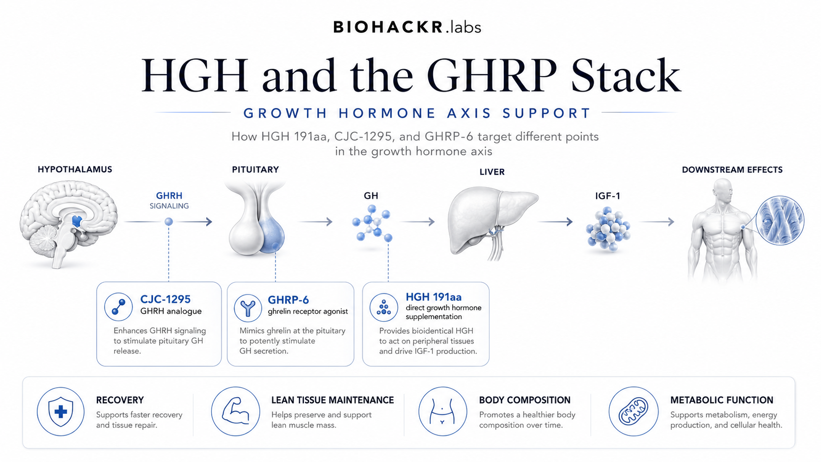 HGH and the GHRP Stack: Growth Hormone Axis Support