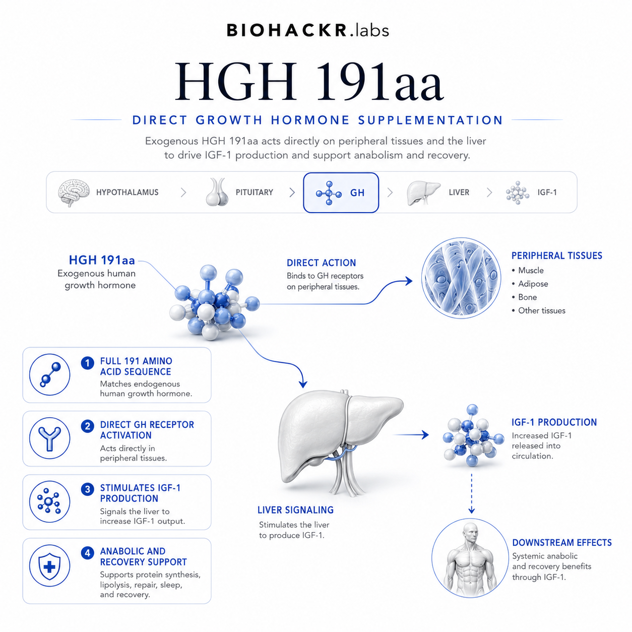 HGH and the GHRP Stack: Growth Hormone Axis Support — CJC-1295: The GHRH analogue