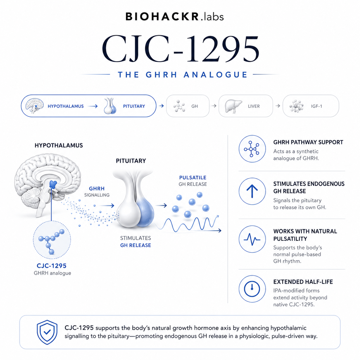 HGH and the GHRP Stack: Growth Hormone Axis Support — GHRP-6: The ghrelin receptor agonist