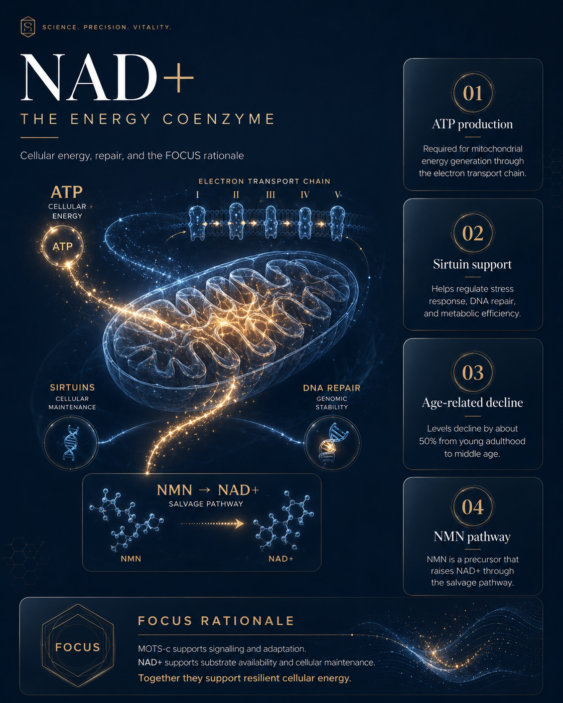 MOTS-c and NAD+: Mitochondrial Energy Science