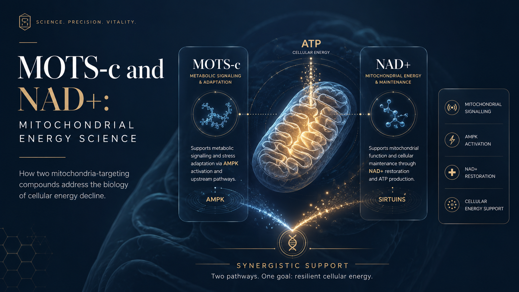 MOTS-c and NAD+: Mitochondrial Energy Science — NAD+: The energy coenzyme and its decline