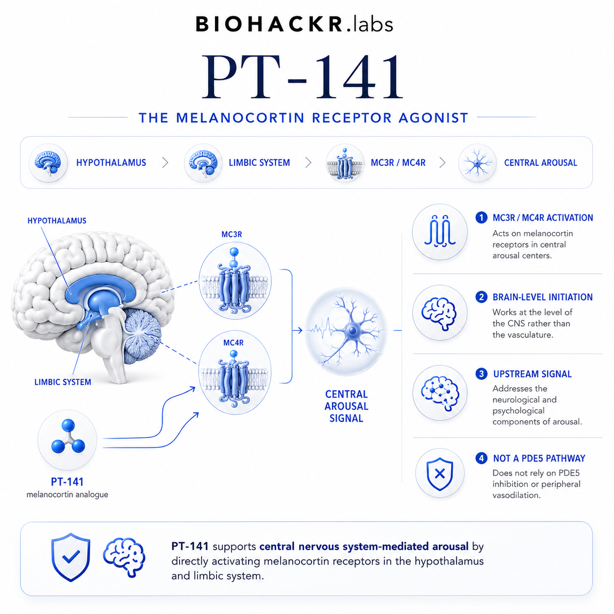 PT-141: Central Nervous System Arousal Mechanism — The melanocortin system and arousal